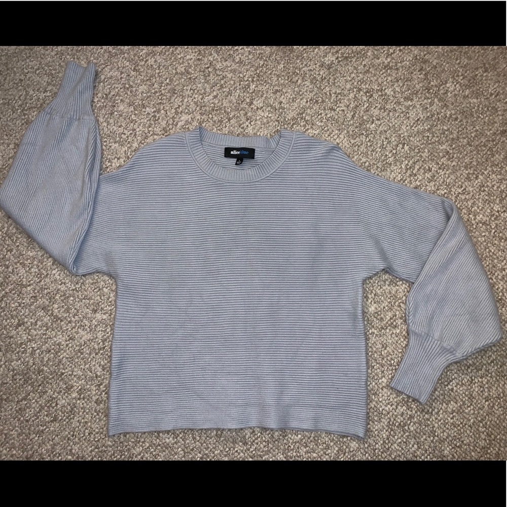 Blue Sweater